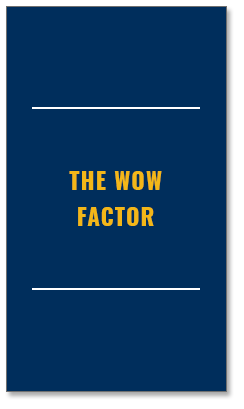 Lead Concepts Core Value - The Wow Factor